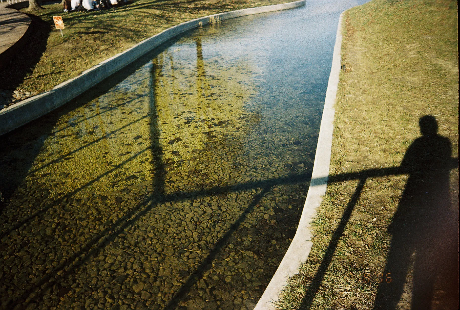 pond