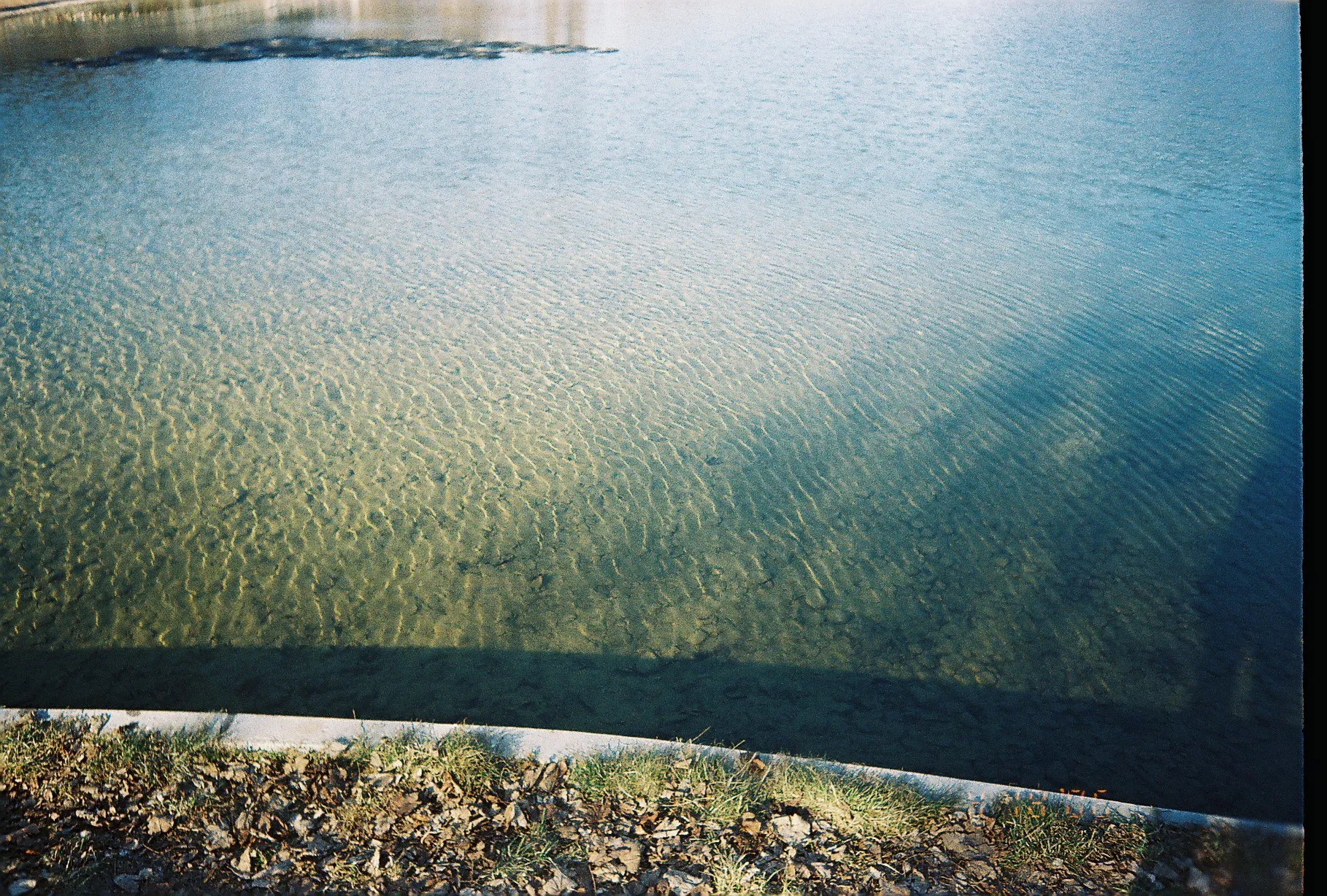 pond